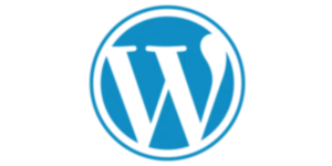 wordpress expert freelance digital marketing specialist in wayanad