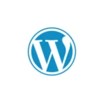 wordpress expert freelance digital marketing specialist in wayanad